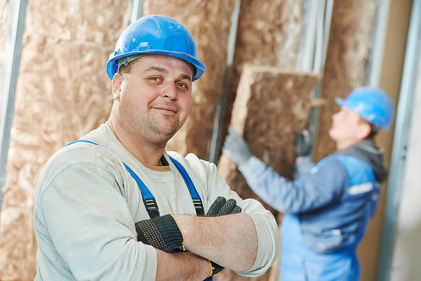Best Insulation Maintenance and Repair in Arden Hills, MN