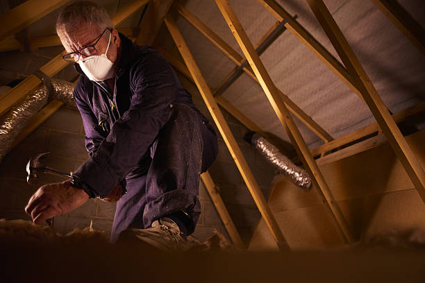 Best Insulation Maintenance and Repair in Arden Hills, MN