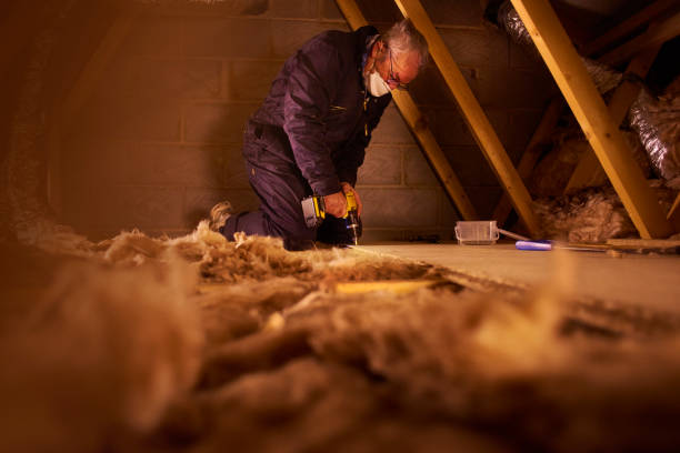 Best Types of Insulation in Arden Hills, MN